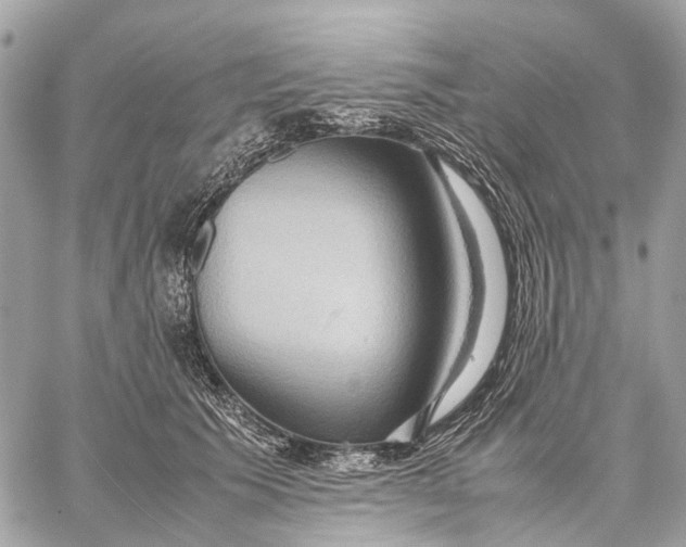 X0000057580609200510071611