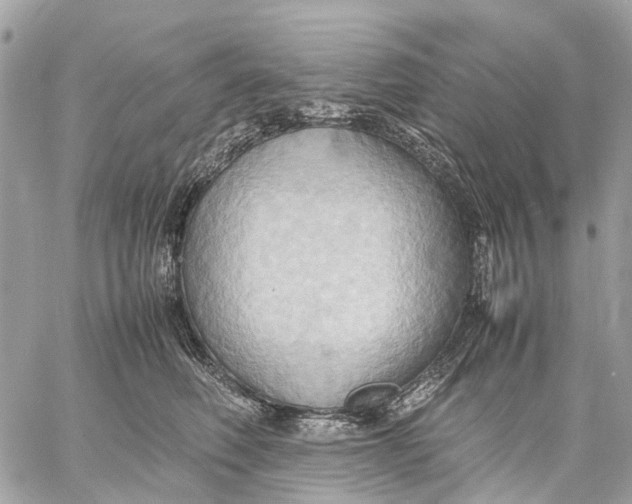 X0000057580614200510071611