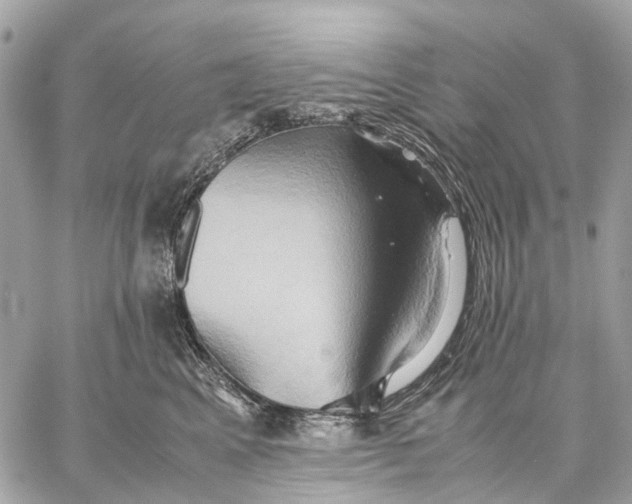 X0000057580617200510071611