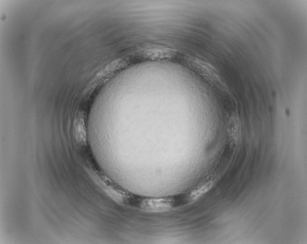 X0000057580622200510071611
