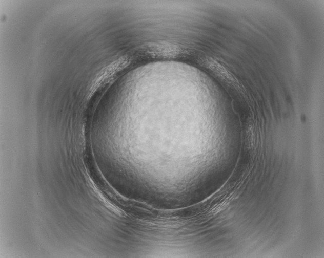 X0000057580638200510071610