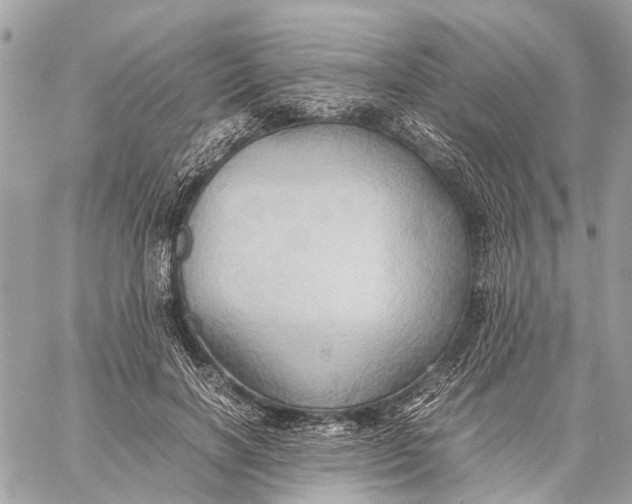 X0000057580646200510071610