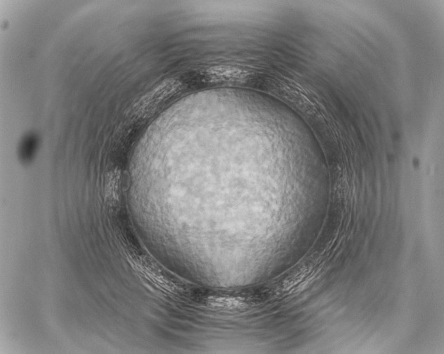 X0000057580649200510071610