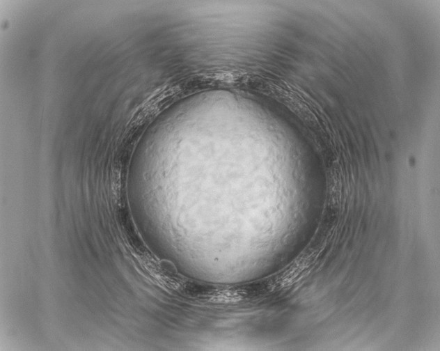 X0000057580656200510071610