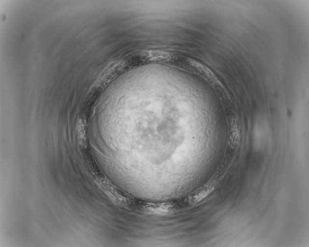X0000057580667200510071611