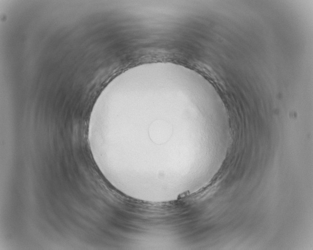 X0000057580672200510071611