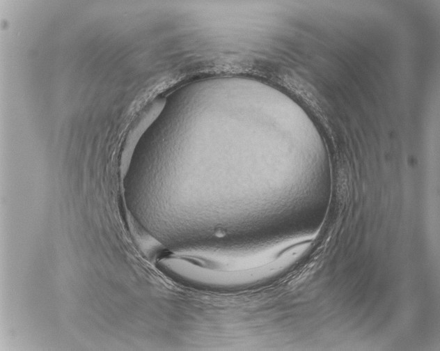X0000057580673200510071610