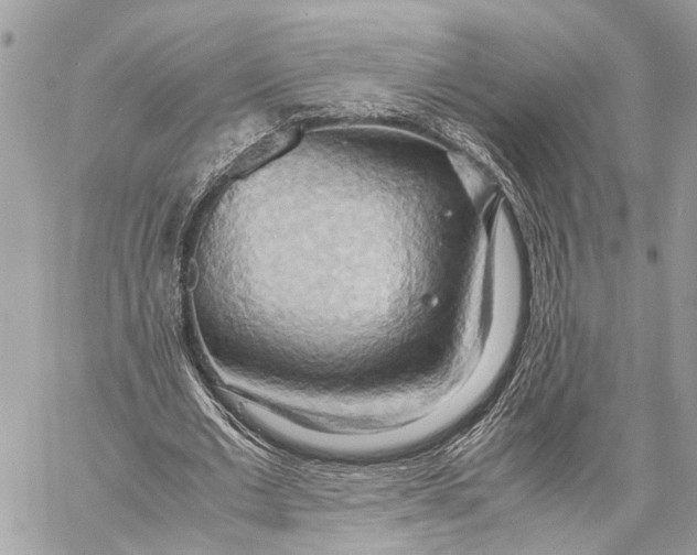 X0000057580677200510071610