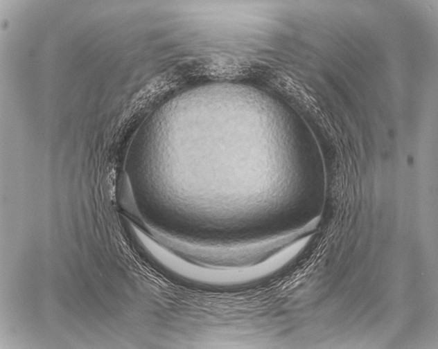 X0000057580689200510071610