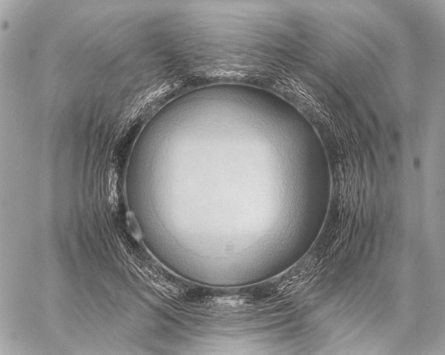 X0000057580692200510071610