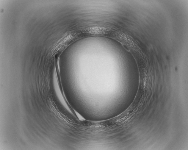 X0000057580696200510071609