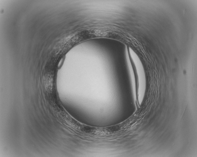 X0000057580697200510071609