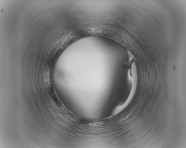 X0000057580700200510071609