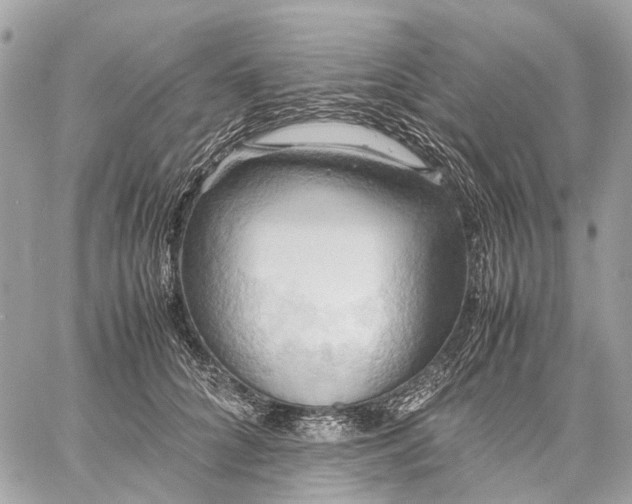 X0000057580704200510071609
