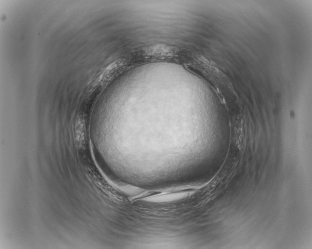 X0000057580708200510071609