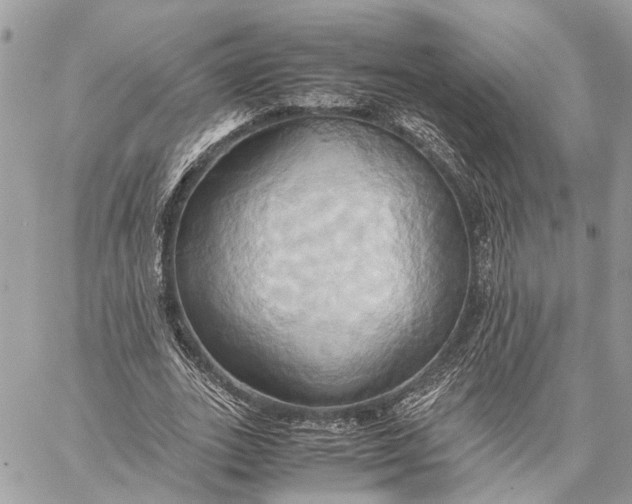 X0000057580727200510071608