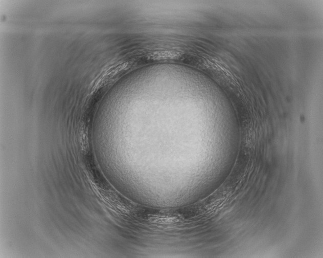 X0000057580743200510071609