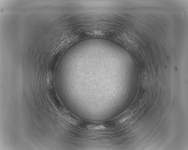 X0000057580747200510071609