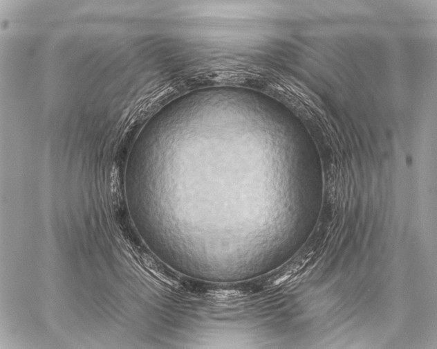 X0000057580748200510071609