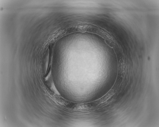 X0000057580750200510071609