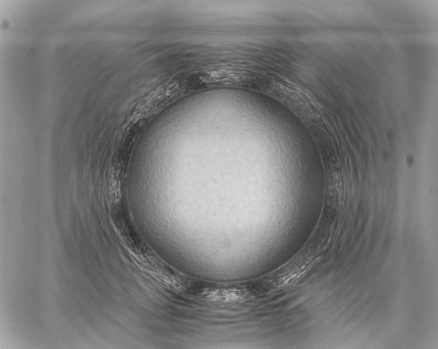 X0000057580751200510071609