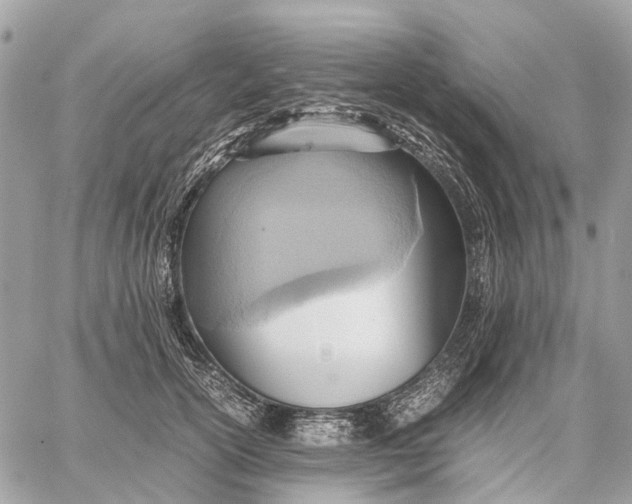 X0000057580754200510071609