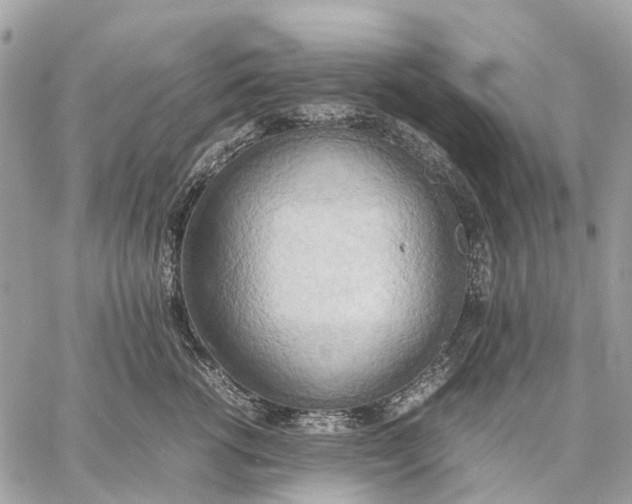 X0000057580762200510071609