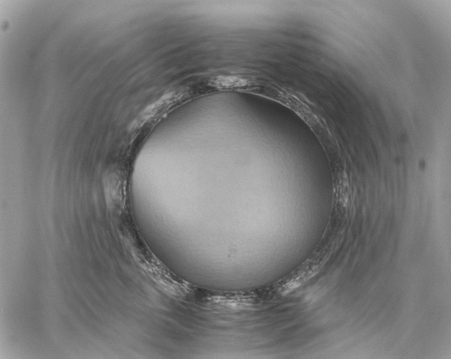 X0000057580763200510071609