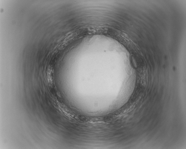 X0000057580770200510071608