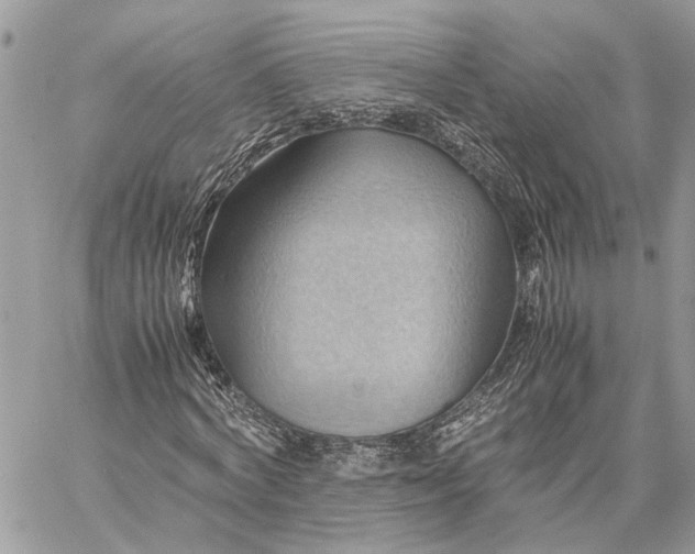 X0000057580772200510071608