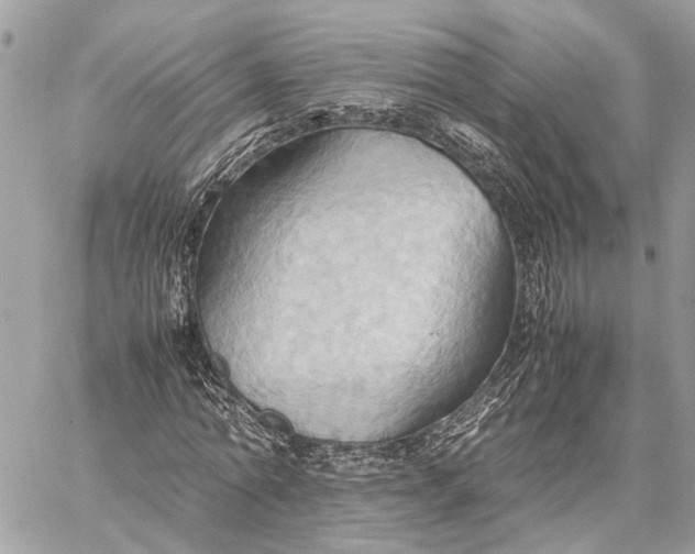 X0000057580774200510071608