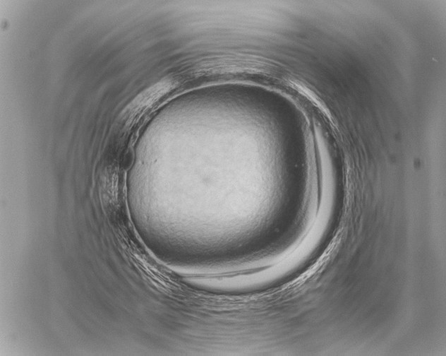 X0000057580777200510071608