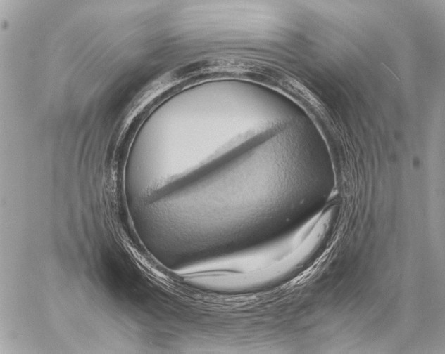 X0000057580779200510071608