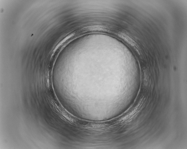 X0000057580782200510071608