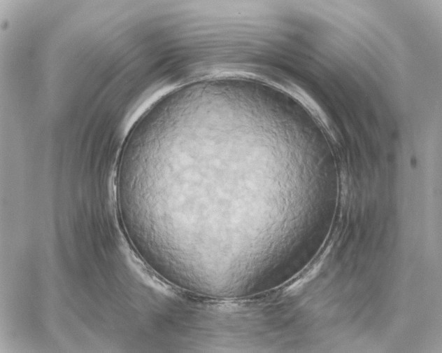X0000057580814200510071607