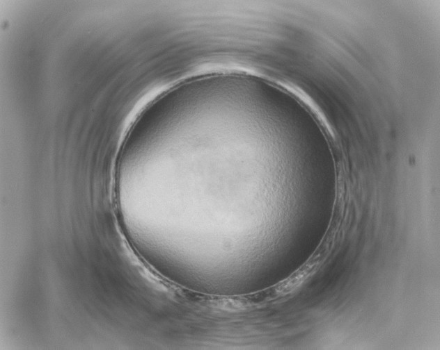 X0000057580815200510071607