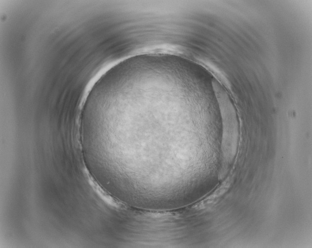 X0000057580816200510071607