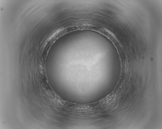 X0000057580823200510071607