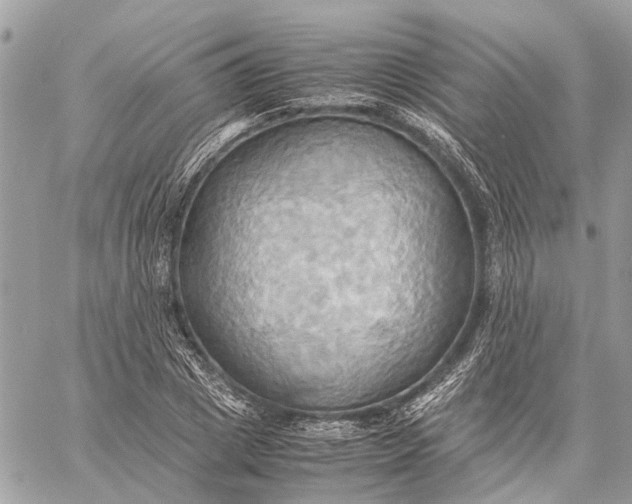 X0000057580833200510071607