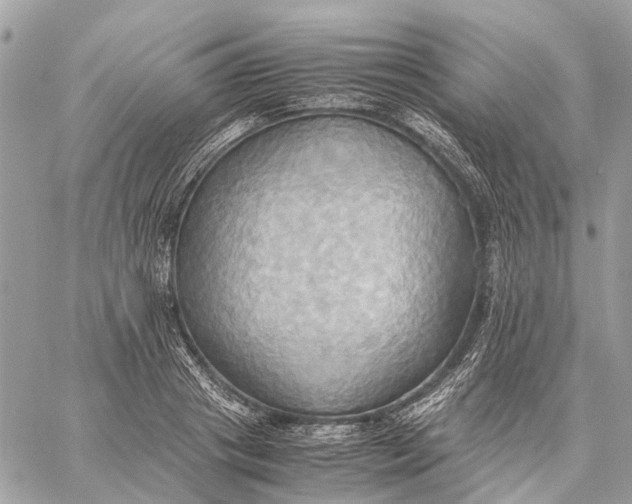 X0000057580841200510071607