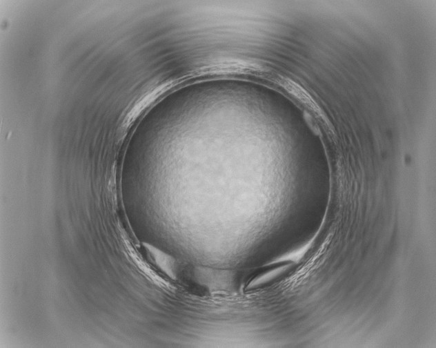 X0000057580842200510071607