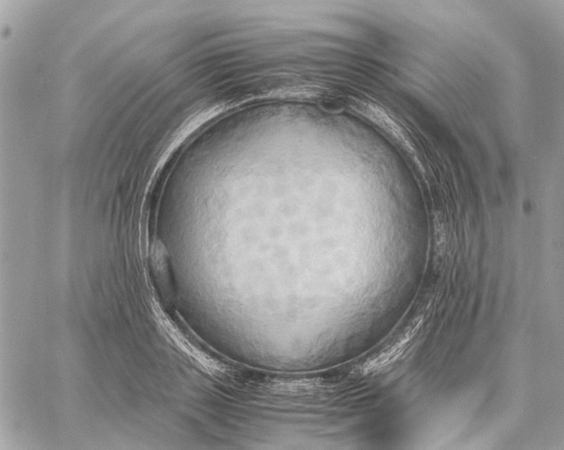 X0000057580843200510071607