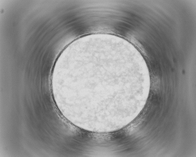 X0000057580856200510071607