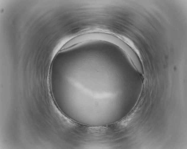 X0000057580863200510071607