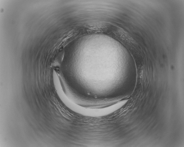 X0000057580868200510071607