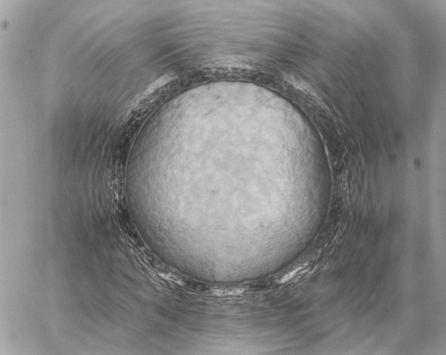 X0000057580870200510071607
