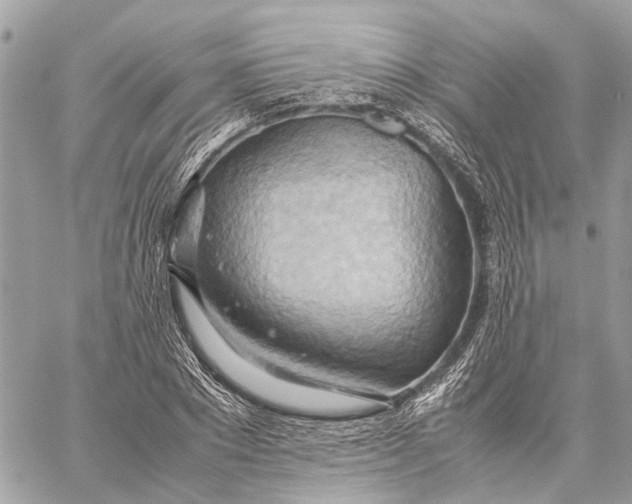 X0000057580881200510071606