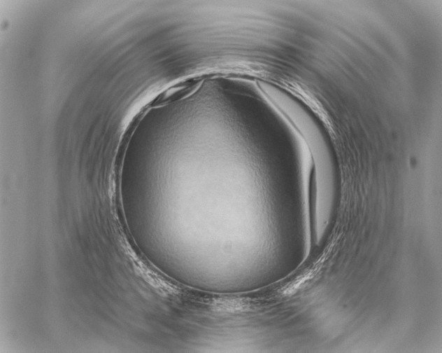 X0000057580944200510071606