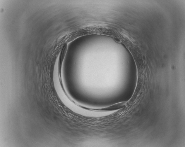 X0000057580965200510071605