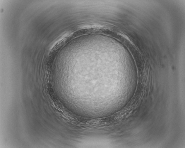 X0000057580967200510071605